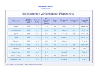 Biokraftstoffe Lima 2008 V2