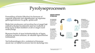 Biokul & Pyrolyse.pptx