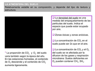 LA ATMÓSFERA DEL SUELO R elativamente estable en su composición, y  depende  del tipo de textura y estructura.  *  La proporción de CO 2  y  O 2  del suelo varia también según la época del año.  E n las estaciones húmedas, el contenido  de O 2   desciende  y el  contenido de CO 2  aumenta  ligeramente. La  densidad del suelo  es una medida del empaquetamiento de las particulas del suelo. Indica el espacio que puede estar ocupado por aire. Zonas óxicas y zonas anóxicas. La concentración de CO 2  en el suelo puede ser 2x que en el aire. La concentración de CO 2  y el O 2  del suelo se ve afectada por la difusion de los gases y respiración microbiana: Suelos deficientes en O 2  pueden contener CH 4 , SH 2 .  