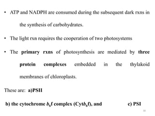 biol.622-23.ppt