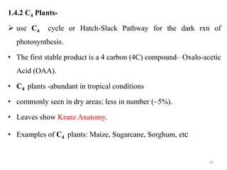 biol.622-23.ppt
