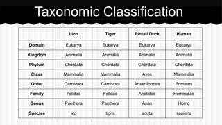Biol - Unit 9 (Taxonomy) Biology (Classification of living thing ...