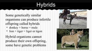 Biol - Unit 9 (Taxonomy) Biology (Classification of living thing ...