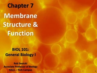 Membrane
Structure &
Function
BIOL 101:
General Biology I
Chapter 7
Rob Swatski
Associate Professor of Biology
HACC – York Campus 1
 