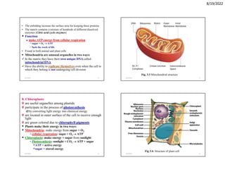 Human Module General biology of human module 1011 power point | PDF