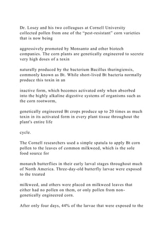 Dr. Losey and his two colleagues at Cornell University
collected pollen from one of the “pest-resistant” corn varieties
that is now being
aggressively promoted by Monsanto and other biotech
companies. The corn plants are genetically engineered to secrete
very high doses of a toxin
naturally produced by the bacterium Bacillus thuringiensis,
commonly known as Bt. While short-lived Bt bacteria normally
produce this toxin in an
inactive form, which becomes activated only when absorbed
into the highly alkaline digestive systems of organisms such as
the corn rootworm,
genetically engineered Bt crops produce up to 20 times as much
toxin in its activated form in every plant tissue throughout the
plant's entire life
cycle.
The Cornell researchers used a simple spatula to apply Bt corn
pollen to the leaves of common milkweed, which is the sole
food source for
monarch butterflies in their early larval stages throughout much
of North America. Three-day-old butterfly larvae were exposed
to the treated
milkweed, and others were placed on milkweed leaves that
either had no pollen on them, or only pollen from non-
genetically engineered corn.
After only four days, 44% of the larvae that were exposed to the
 