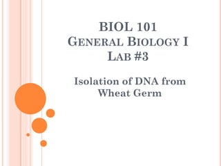 BIOL 101
GENERAL BIOLOGY I
LAB #3
Isolation of DNA from
Wheat Germ
 