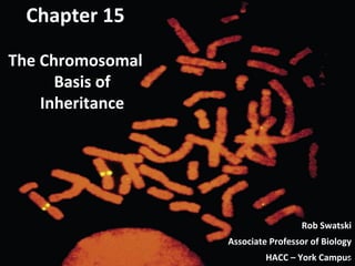 Chapter 15
The Chromosomal
Basis of
Inheritance
Rob Swatski
Associate Professor of Biology
HACC – York Campus1
 