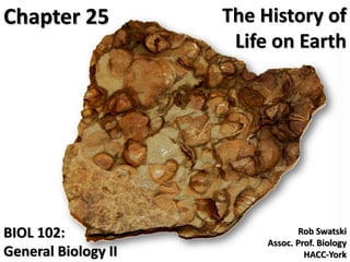 The History of
Life on Earth
BIOL 102:
General Biology II
Chapter 25
Rob Swatski
Assoc. Prof. Biology
HACC-York1
 
