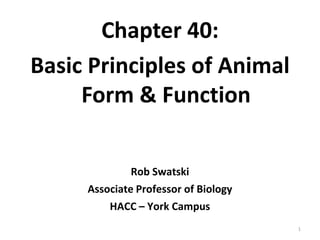 Chapter 40:
Basic Principles of Animal
Form & Function
Rob Swatski
Associate Professor of Biology
HACC – York Campus
1
 
