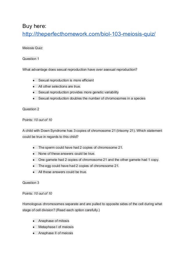 architecture essays on art nouveau