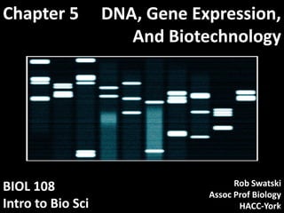 DNA, Gene Expression,DNA, Gene Expression,
And BiotechnologyAnd Biotechnology
BIOLBIOL 108108
Intro to BioIntro to Bio SciSci
ChapterChapter 55
RobRob SwatskiSwatski
Assoc Prof BiologyAssoc Prof Biology
HACCHACC--YorkYork1
 