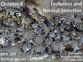 Evolution and
Natural Selection
BIOL 108
Intro to Bio Sci
Chapter 8
Rob Swatski
Assoc Prof Biology
HACC-York
 