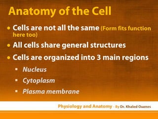 Physiology and Anatomy Essentials: CELLS & TISSUES. | PPTX