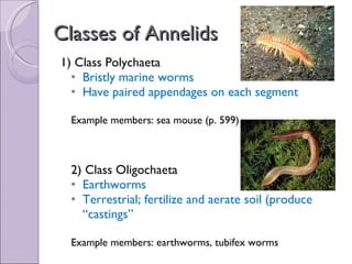 Biol 11 Lesson 3 Mar 8 - Ch. 27 Annelida | PPT