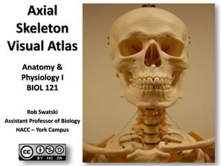 Axial
Skeleton
Visual Atlas
Anatomy &
Physiology I
BIOL 121
Rob Swatski
Assistant Professor of Biology
HACC – York Campus
 