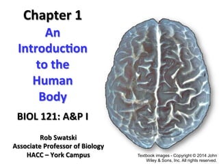 An	
  	
  
Introduc+on	
  	
  
to	
  the	
  	
  
Human	
  	
  
Body	
  	
  
BIOL	
  121:	
  A&P	
  I	
  
Chapter	
  1
Rob	
  Swatski	
  
Associate	
  Professor	
  of	
  Biology	
  
HACC	
  –	
  York	
  Campus	
   Textbook images - Copyright © 2014 John
Wiley & Sons, Inc. All rights reserved.
 