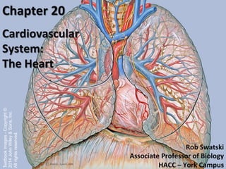 1	
  
Rob	
  Swatski	
  
Associate	
  Professor	
  of	
  Biology	
  
HACC	
  –	
  York	
  Campus	
  
Chapter	
  20	
  
	
  
Cardiovascular	
  
System:	
  	
  	
  
The	
  Heart	
  
Textbookimages-Copyright©
2014JohnWiley&Sons,Inc.
Allrightsreserved.
 