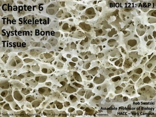 1
The Skeletal
System: Bone
Tissue
BIOL 121: A&P IChapter 6
Rob Swatski
Associate Professor of Biology
HACC – York CampusTextbook images - Copyright © 2014 John Wiley & Sons, Inc. All rights reserved.
 