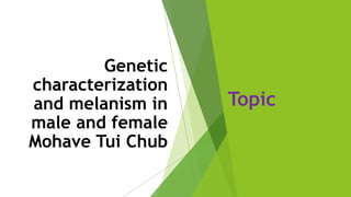 Genetic
characterization
and melanism in
male and female
Mohave Tui Chub
Topic
 