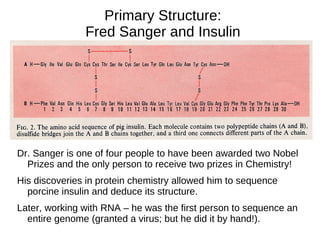 Basic Amino Acids Arginine; ARG; R Histidine; HIS; H Lysine; LYS; K 