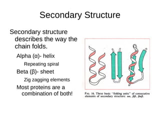 Unique Amino Acids Glycine; GLY; G Proline; PRO; P 