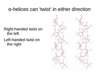 The Peptide Bond Note the C-O-N-C- sequence between each amino acid. 