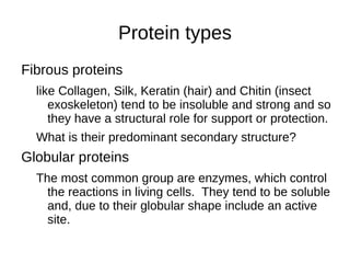 α -helices can 'twist' in either direction Right-handed twist on the left 