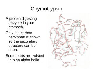 β -sheet structure The dotted lines are hydrogen bonds which bind the strands together, making this a strong flat fibrous protein. 