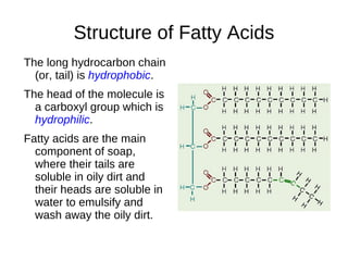Poly - Proline  This graphic illustrates a peptide with repeating  Proline  amino acids. 