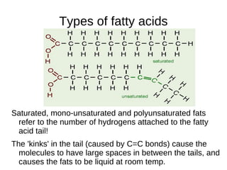 When three such strands wrap around each other like rope they make a strong fibrous protein, similar to those found in  Collagen . 