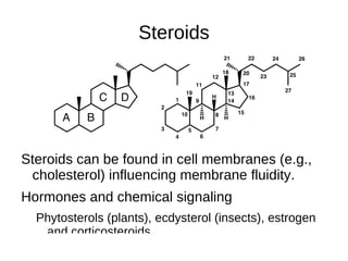 repeatedly wrapped into a rope, the whole forming a helix. 