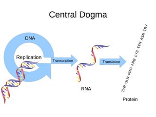 Three dimensional structure Tertiary structure the shapes which form when the secondary spirals of the protein chain further fold up on themselves. Quarternary structure any final alterations in the protein required for biological activity Chains may bind together or other inorganic substances may be incorporated into the molecule. 