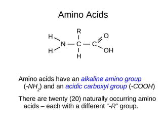 Polysaccharides – linked polymers of simple sugars Proteins Polymers of amino acids Fats/Lipids Polymers of fatty acids (linked via  glycerol ) Nucleic Acids Polymers of nucleotides 