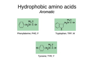 Amino Acids Amino acids have an  alkaline amino group ( -NH 2 ) and an  acidic carboxyl group  ( -COOH ) 