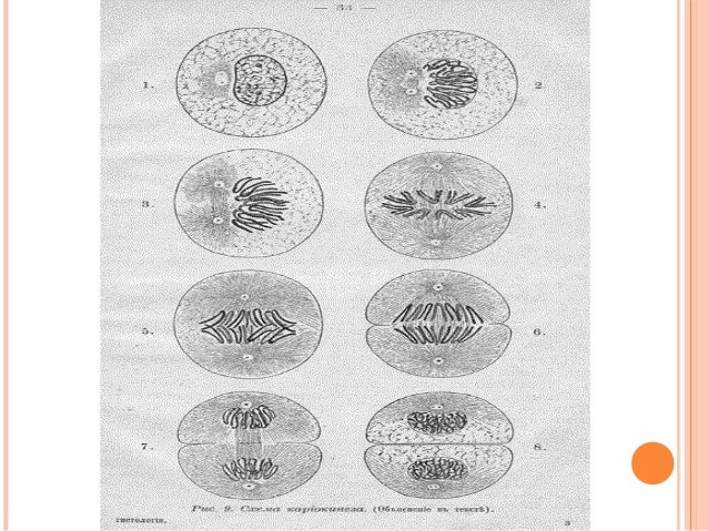 Bio l2