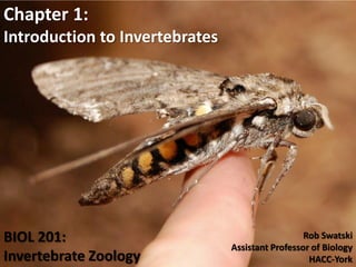BIOL 201:
Invertebrate Zoology
Chapter 1:
Introduction to Invertebrates
Rob Swatski
Assistant Professor of Biology
HACC-York
 