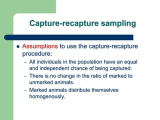 Capture Recapture Image Example Biol205 lab5 introduction | PPTX