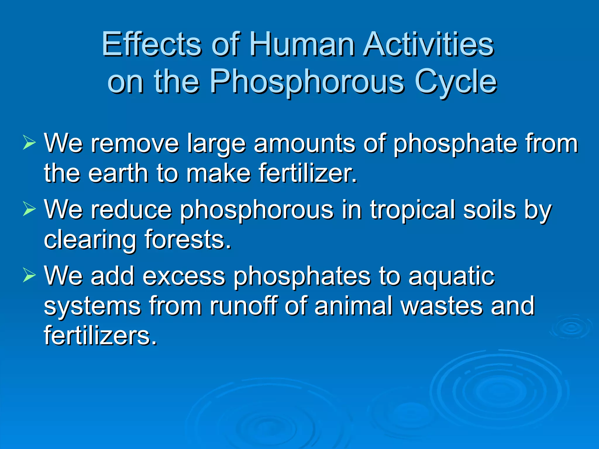 Effects of Human Activities  on the Phosphorous Cycle We remove large amounts of phosphate from the earth to make fertilizer. We reduce phosphorous in tropical soils by clearing forests. We add excess phosphates to aquatic systems from runoff of animal wastes and fertilizers. 