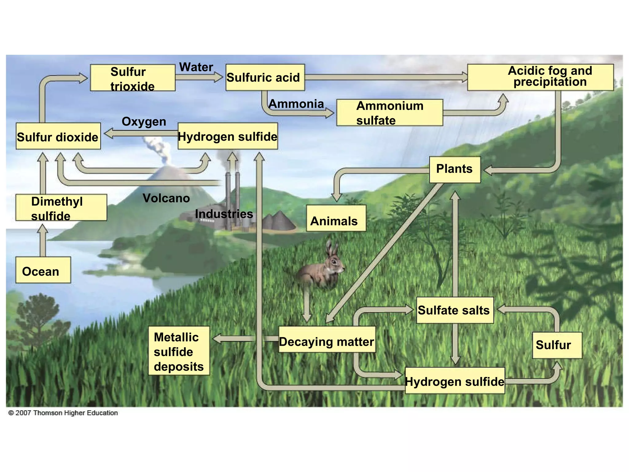 Hydrogen sulfide Sulfur Sulfate salts Decaying matter Animals Plants Ocean Industries Volcano Hydrogen sulfide Oxygen Dimethyl sulfide Ammonium sulfate Ammonia Acidic fog and precipitation Sulfuric acid Water Sulfur trioxide Sulfur dioxide Metallic sulfide deposits 