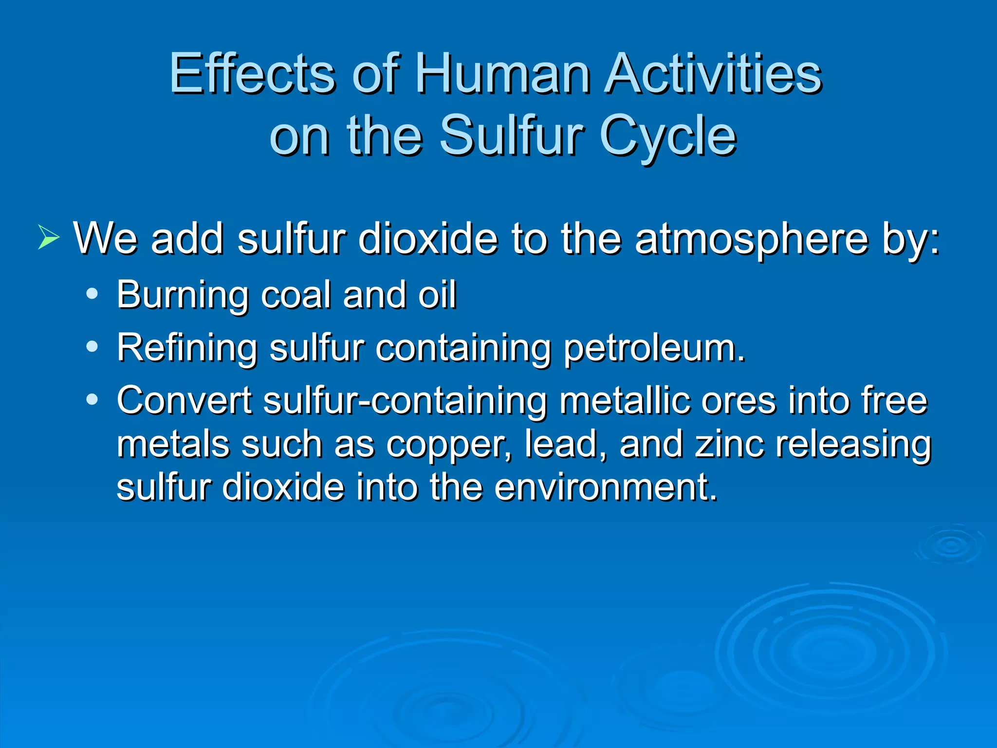 Effects of Human Activities  on the Sulfur Cycle We add sulfur dioxide to the atmosphere by: Burning coal and oil Refining sulfur containing petroleum. Convert sulfur-containing metallic ores into free metals such as copper, lead, and zinc releasing sulfur dioxide into the environment. 