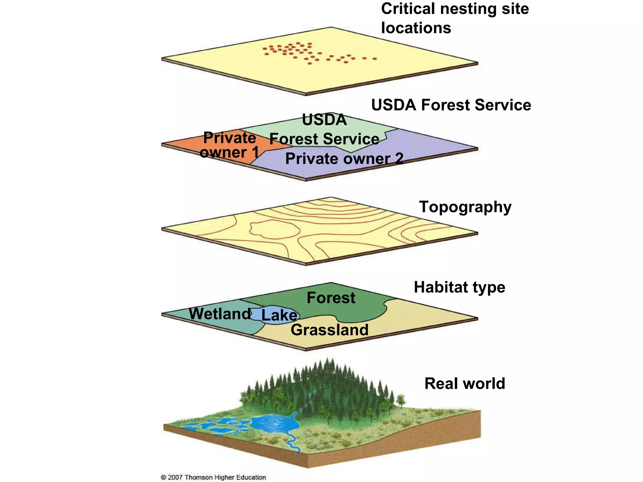 Critical nesting site locations USDA Forest Service USDA Forest Service Private owner 1 Private owner 2 Topography Habitat type Lake Wetland Forest Grassland Real world 