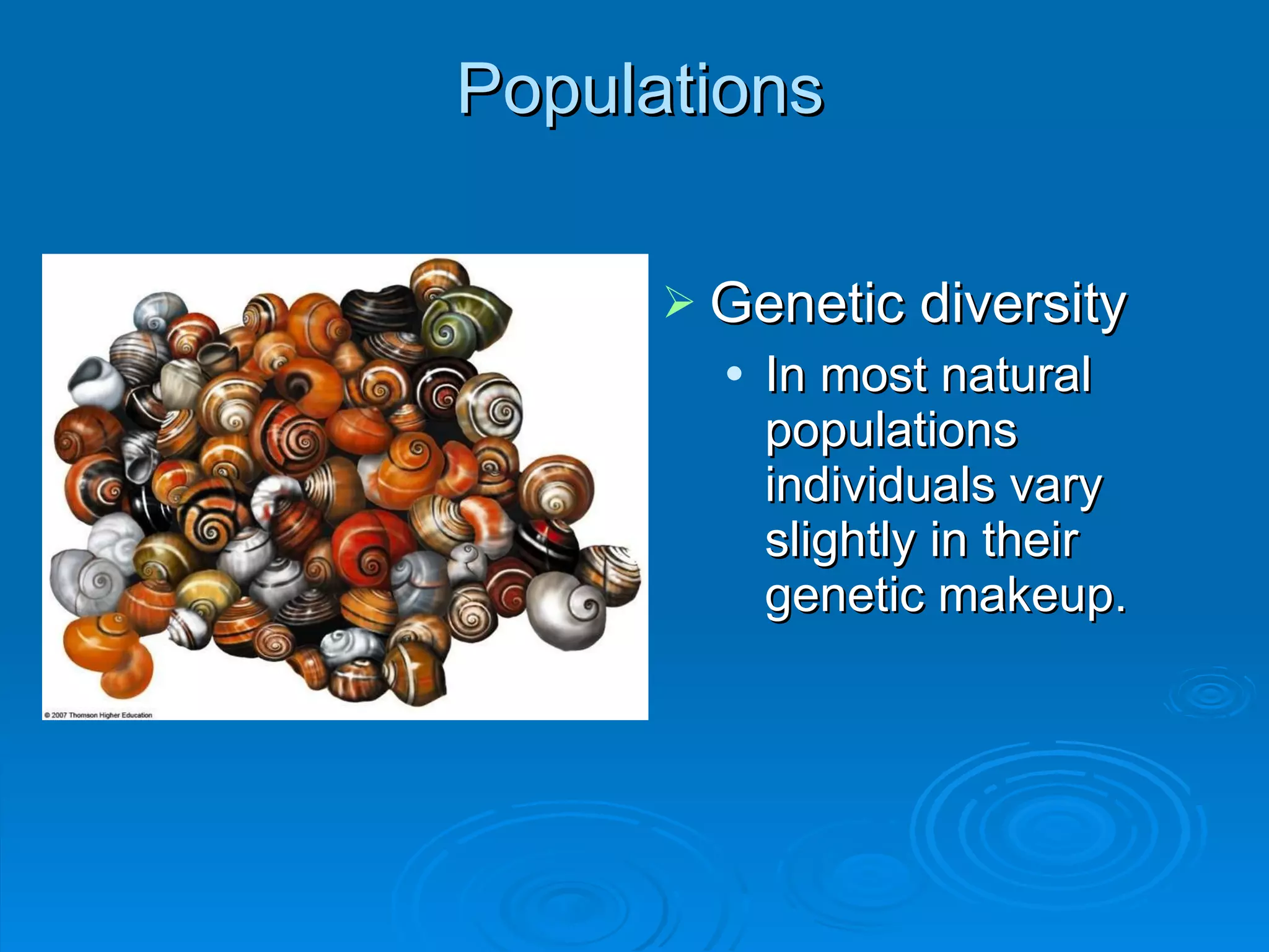 Populations Genetic diversity  In most natural populations individuals vary slightly in their genetic makeup. 