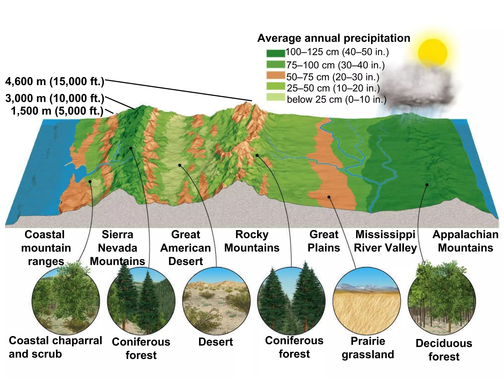 100–125 cm (40–50 in.) Coastal  mountain ranges Sierra Nevada Mountains Great American Desert Coastal chaparral and scrub Coniferous forest Desert Coniferous forest Prairie grassland Deciduous forest 1,500 m (5,000 ft.) 3,000 m (10,000 ft.) 4,600 m (15,000 ft.) Average annual precipitation Mississippi River Valley Appalachian Mountains Great Plains Rocky Mountains below 25 cm (0–10 in.) 25–50 cm (10–20 in.) 50–75 cm (20–30 in.) 75–100 cm (30–40 in.) 