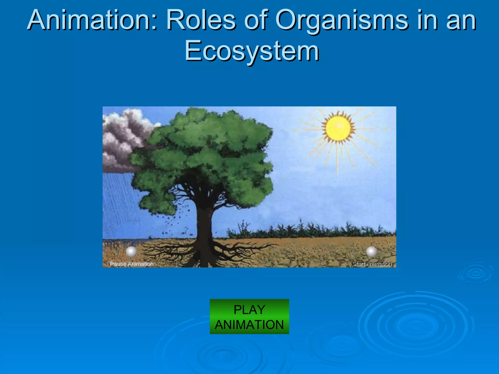 Animation: Roles of Organisms in an Ecosystem PLAY ANIMATION 