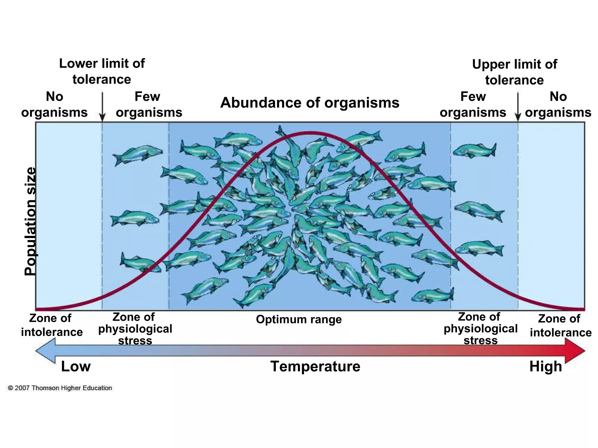 Zone of  intolerance Optimum range Zone of  physiological stress Zone of  physiological stress Zone of  intolerance Temperature Low High No organisms Few organisms Upper limit of tolerance Population size Abundance of organisms Few  organisms No organisms Lower limit of tolerance 