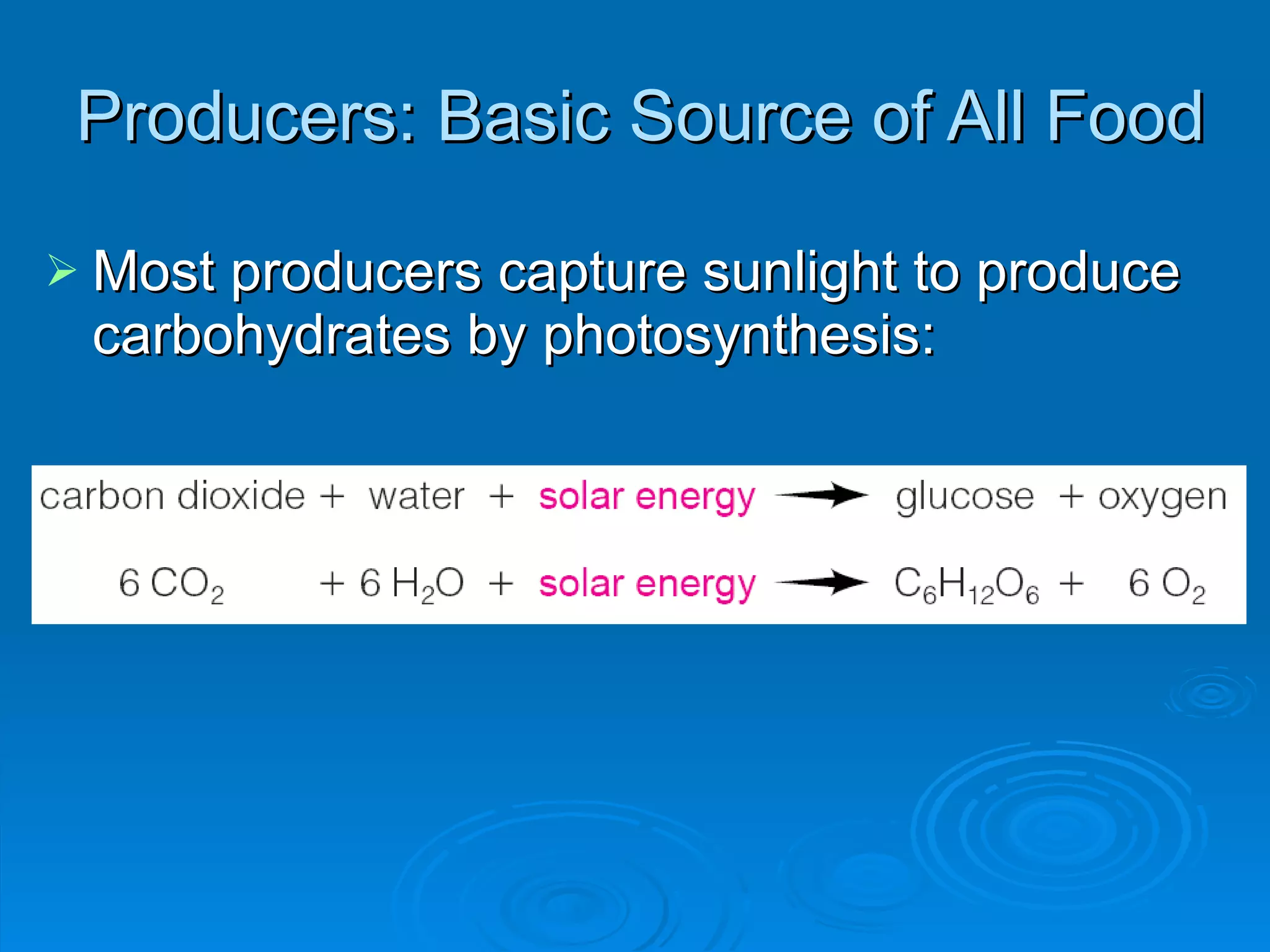 Producers: Basic Source of All Food Most producers capture sunlight to produce carbohydrates by photosynthesis: 