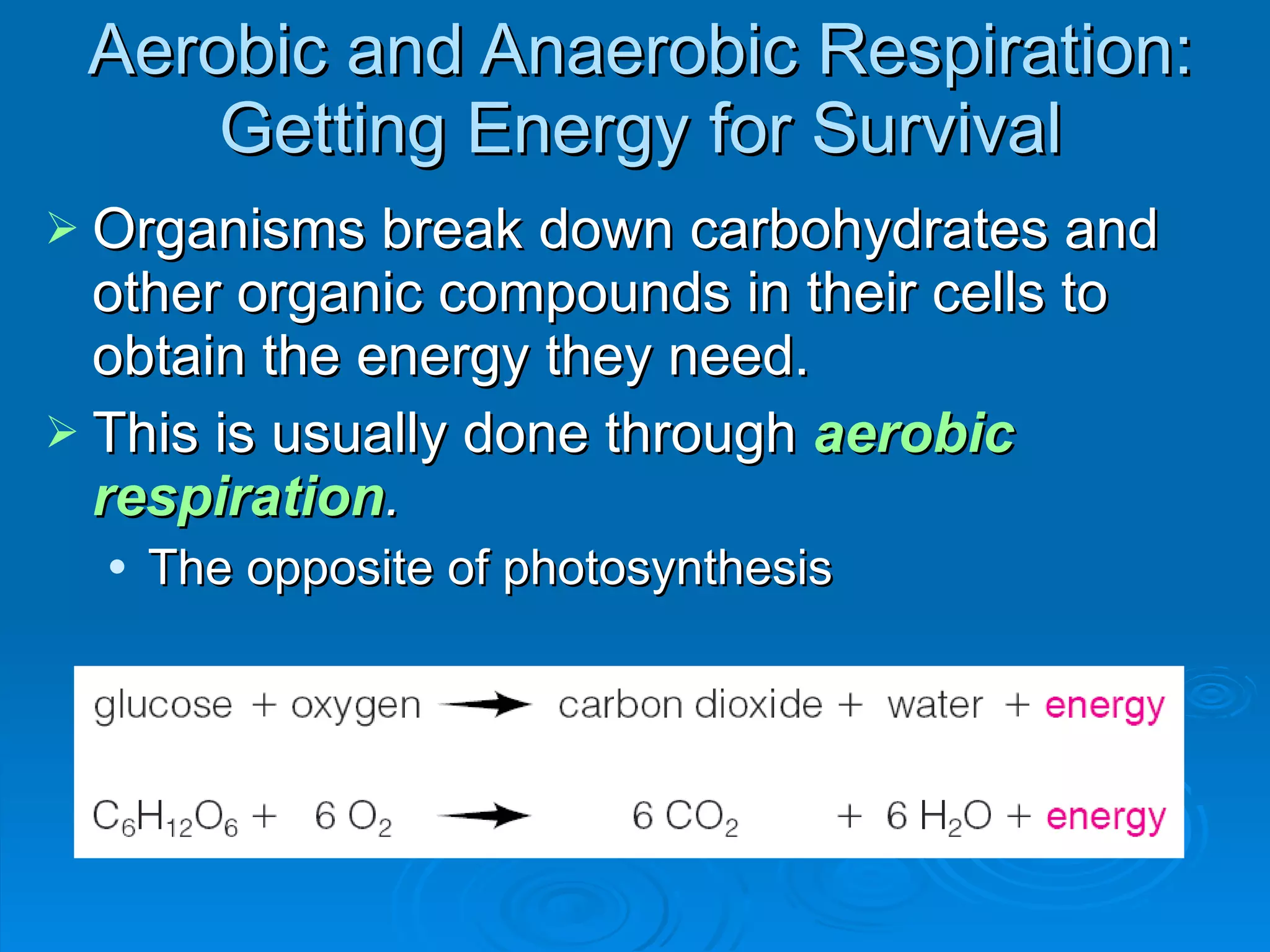 Aerobic and Anaerobic Respiration: Getting Energy for Survival Organisms break down carbohydrates and other organic compounds in their cells to obtain the energy they need. This is usually done through  aerobic respiration . The opposite of photosynthesis 