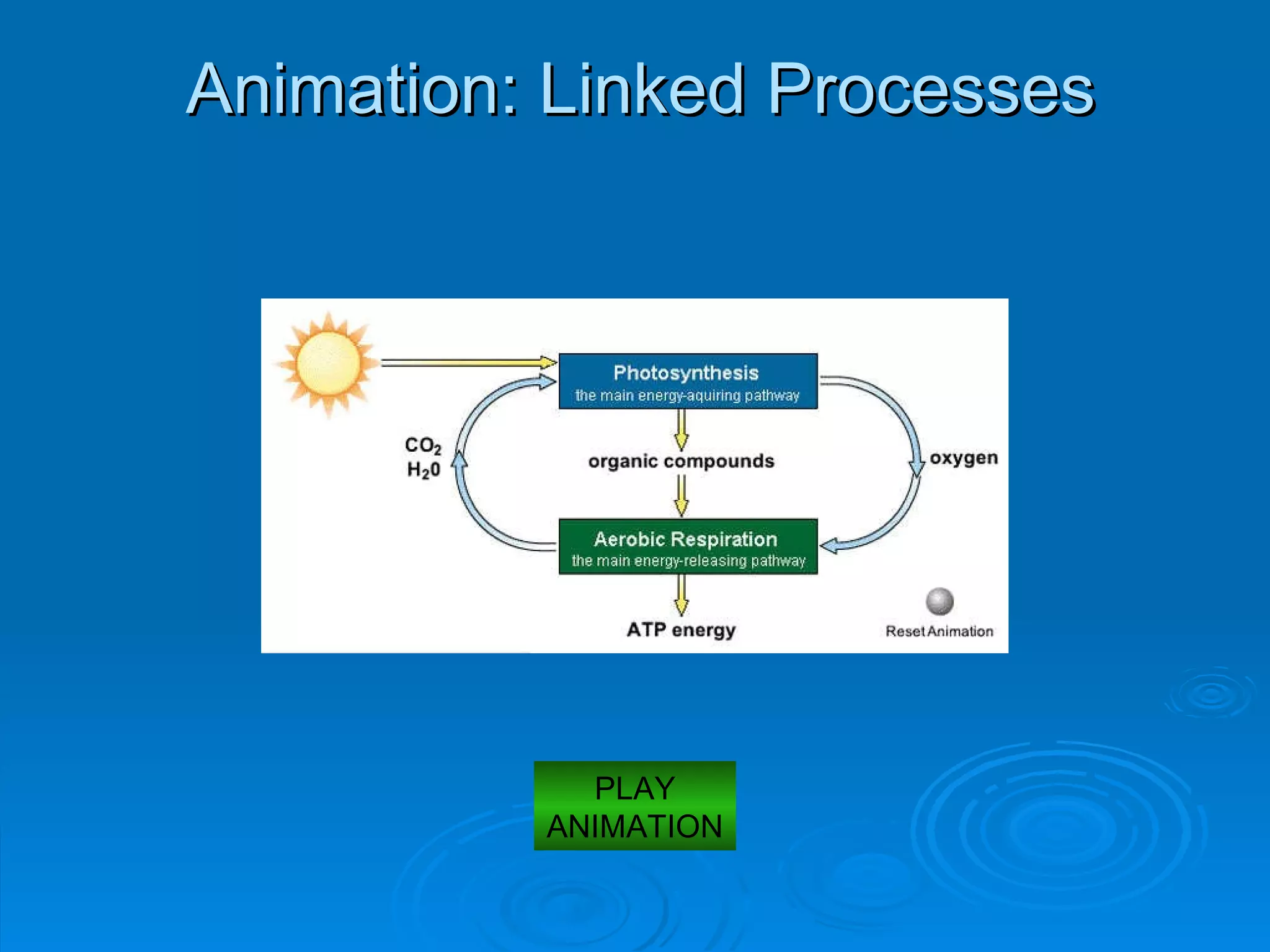 Animation: Linked Processes PLAY ANIMATION 