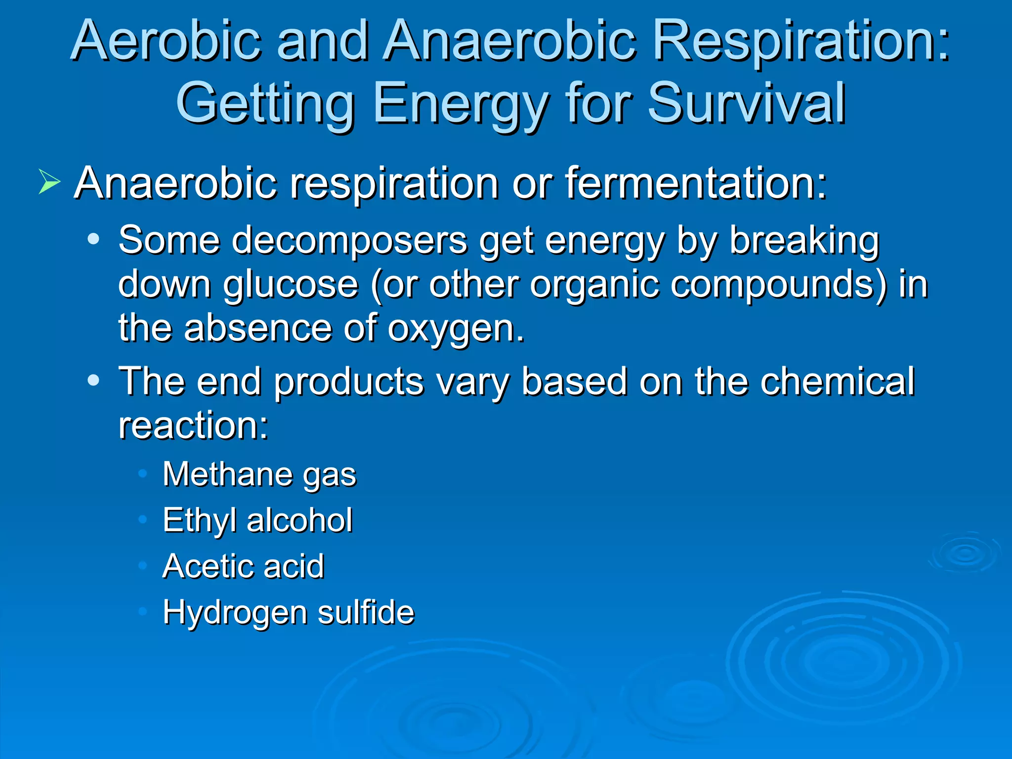 Aerobic and Anaerobic Respiration: Getting Energy for Survival Anaerobic respiration or fermentation: Some decomposers get energy by breaking down glucose (or other organic compounds) in the absence of oxygen. The end products vary based on the chemical reaction: Methane gas Ethyl alcohol Acetic acid Hydrogen sulfide 